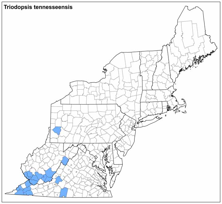 Triodopsis tennesseensis Range Map